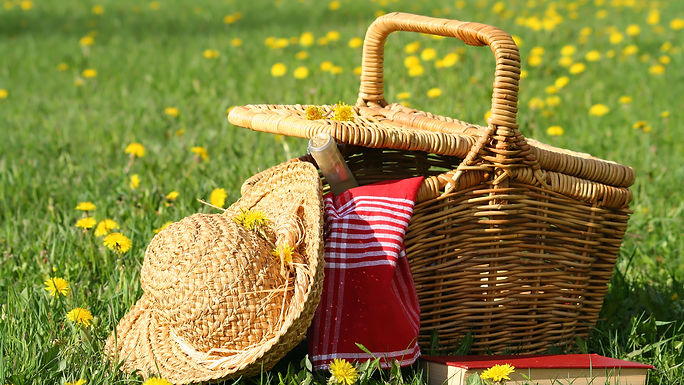 PicNic in the Alpilles - Un pique-nique dans les Alpilles