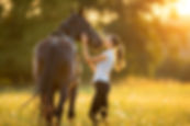 Horse Riding