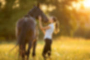 Horse Riding