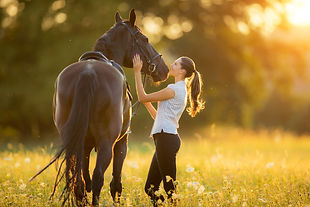 Horse Riding