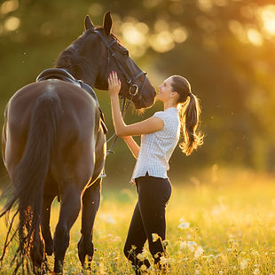 Horse Riding - Équitation