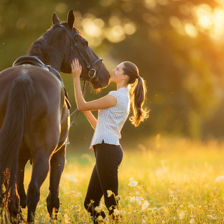 Horse Riding, Domaine la Pierre Blanche