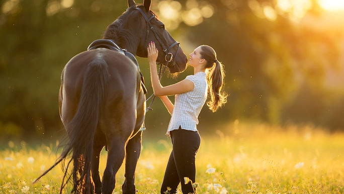 Horse Riding - Équitation