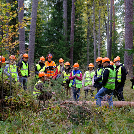 Evo Forestry School
