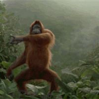 JIM GIF.gif