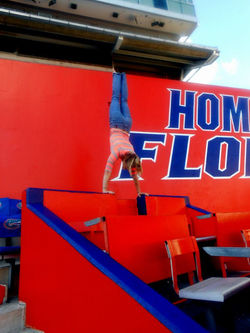 UF Gator Handstand