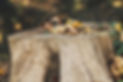 Tree-Stump-Grinding-img2.jpg