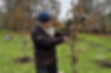 Tree-Cutting-img1.jpg