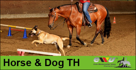 Ihr wollt das erste Mal Horse & Dog Trail starten und fragt euch welche wichtigen Voraussetzunge