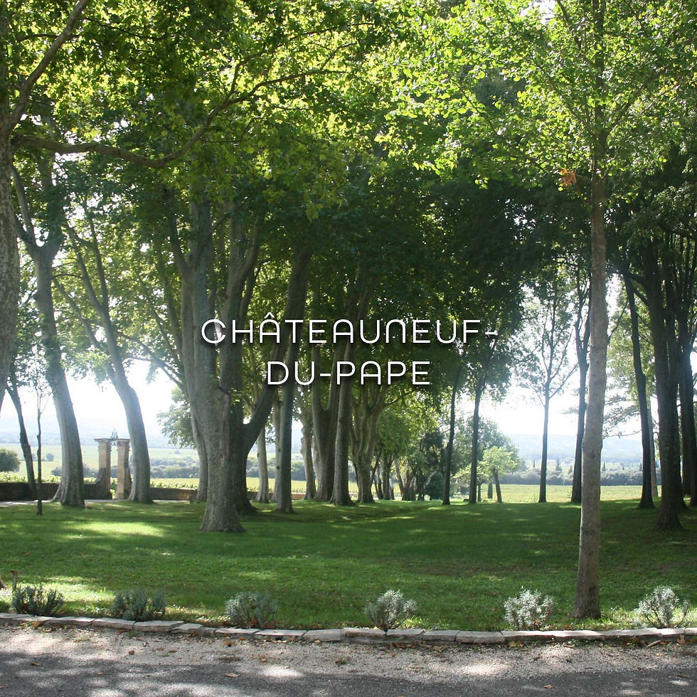 Châteauneuf-du-Pape03