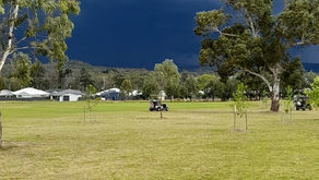 Results 1st Nov, 2025