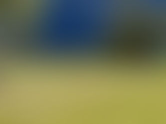 Results 1st Nov, 2025