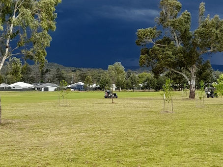 Results 1st Nov, 2025