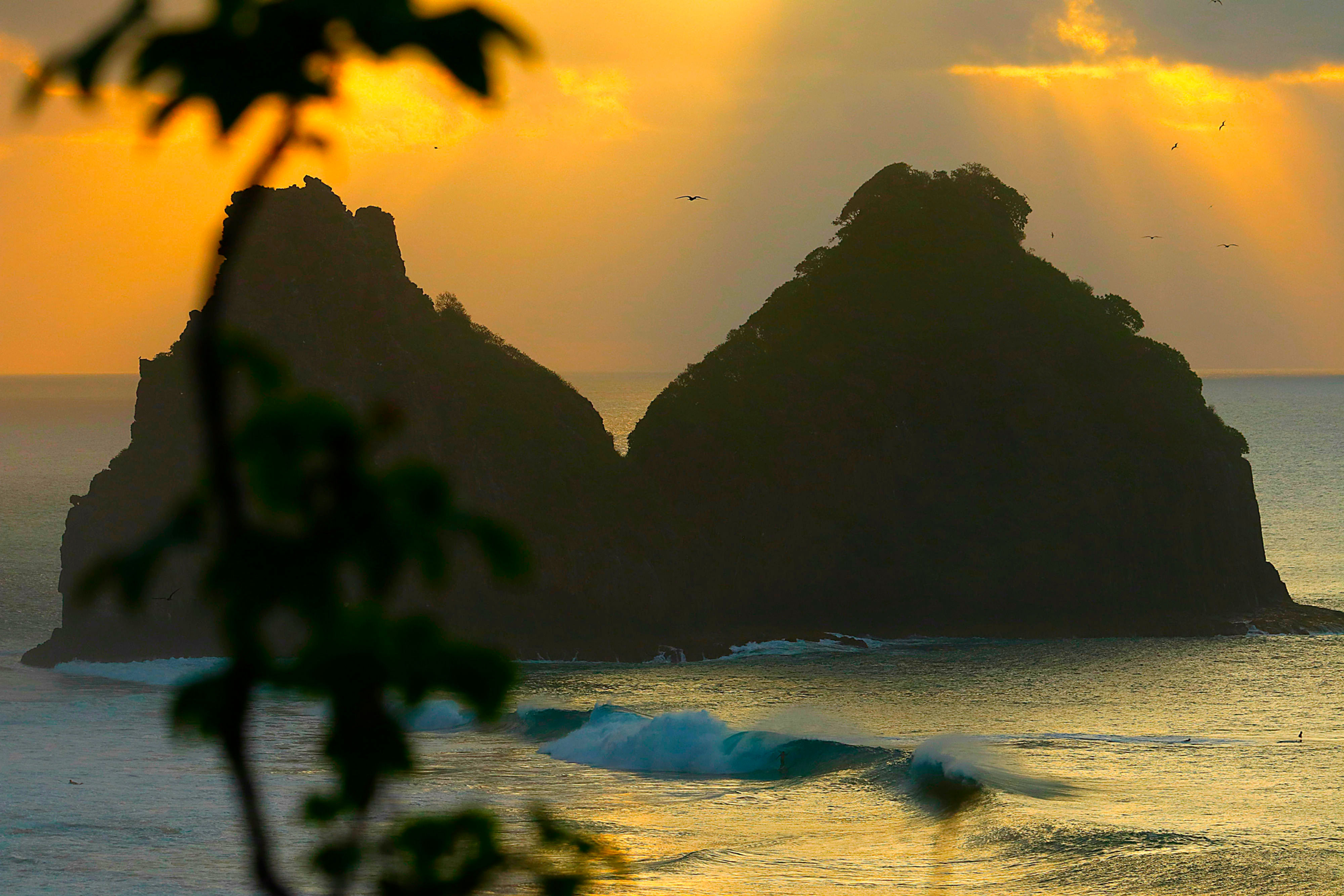 Noronha Sunset