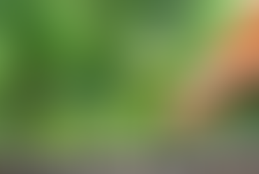 Shaping Our Energies By Growing Inward