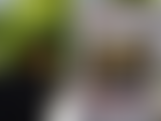Gabon Country Report: April 2026