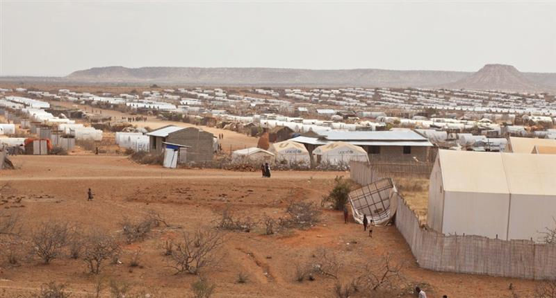 Displacement and Danger: Somali refugees in Ethiopia