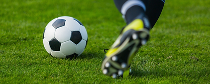 Reddy Anna sports ID football Premier League Champions India