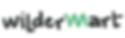Untitled design (41).png