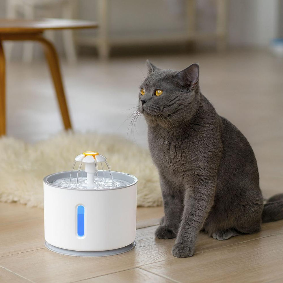 Thumbnail: Automatic Water Fountain with LED Lighting