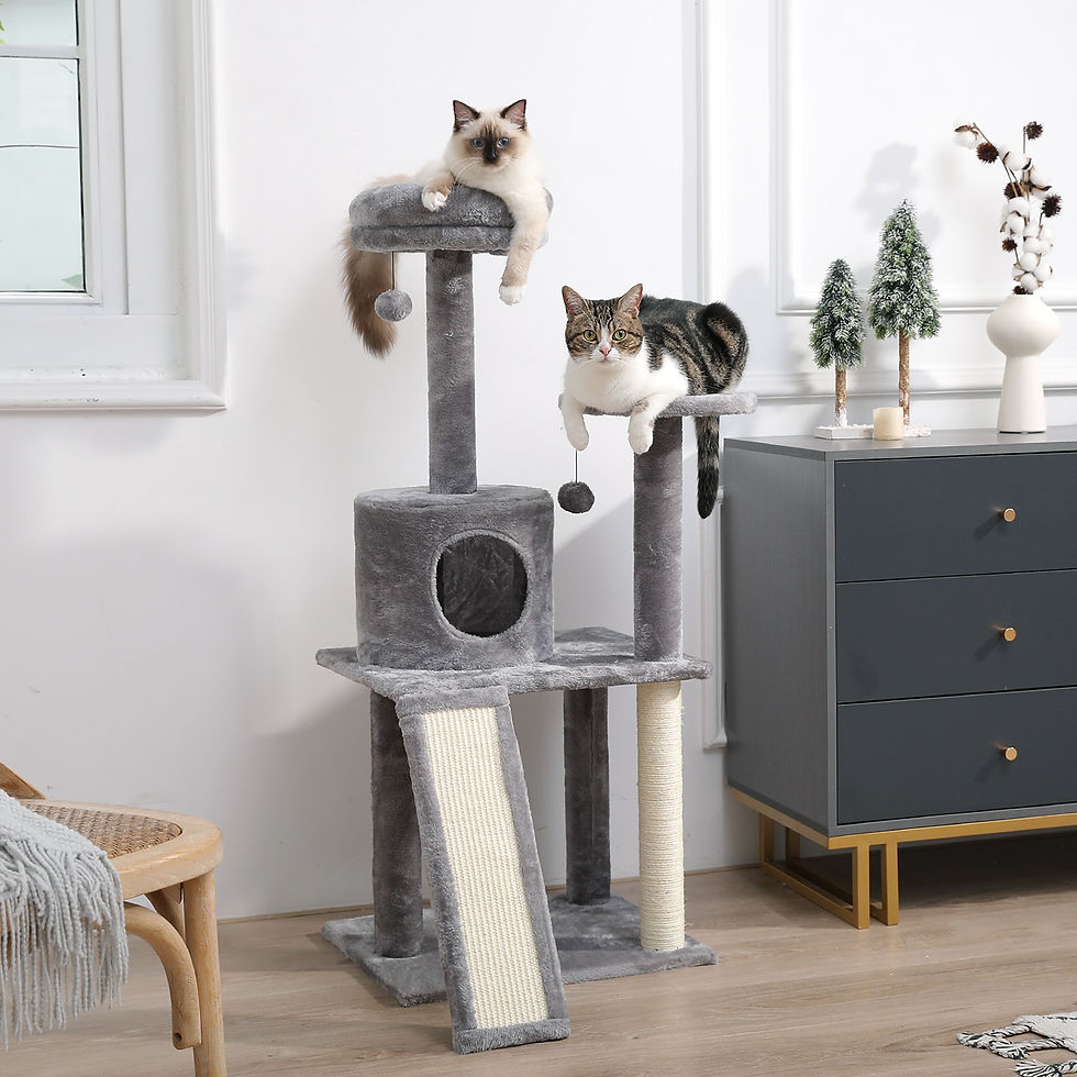 Thumbnail: Tall Cat Tower with Large Cozy Beds, Scratching Posts