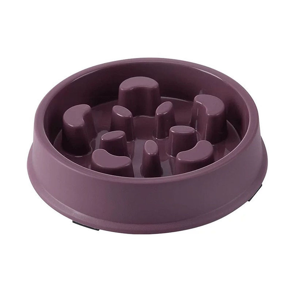 Thumbnail: Pet Food Bowl