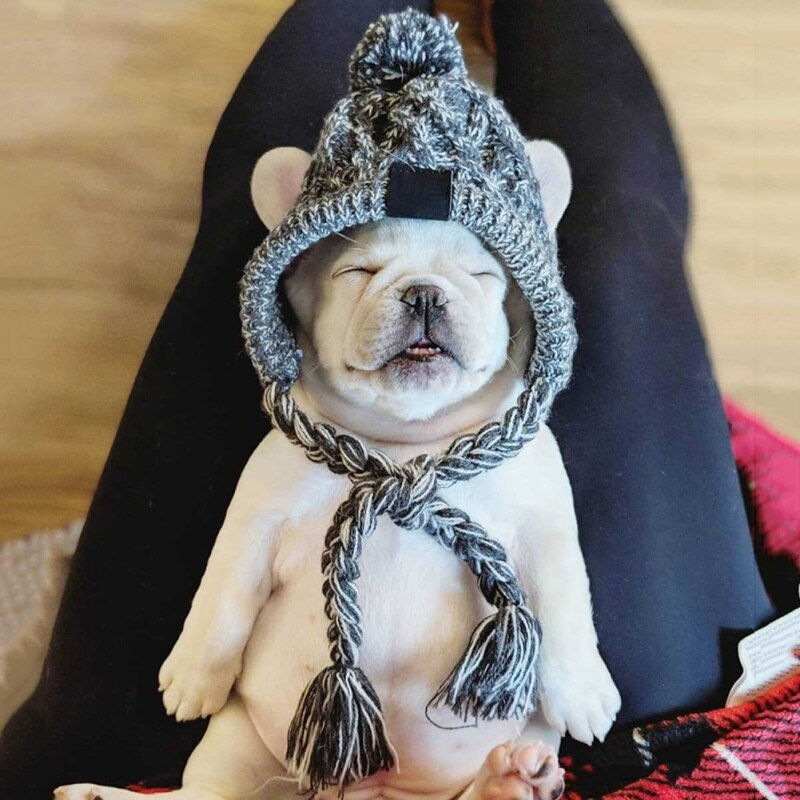 Thumbnail: Winter Warm Pet Knitted Hat