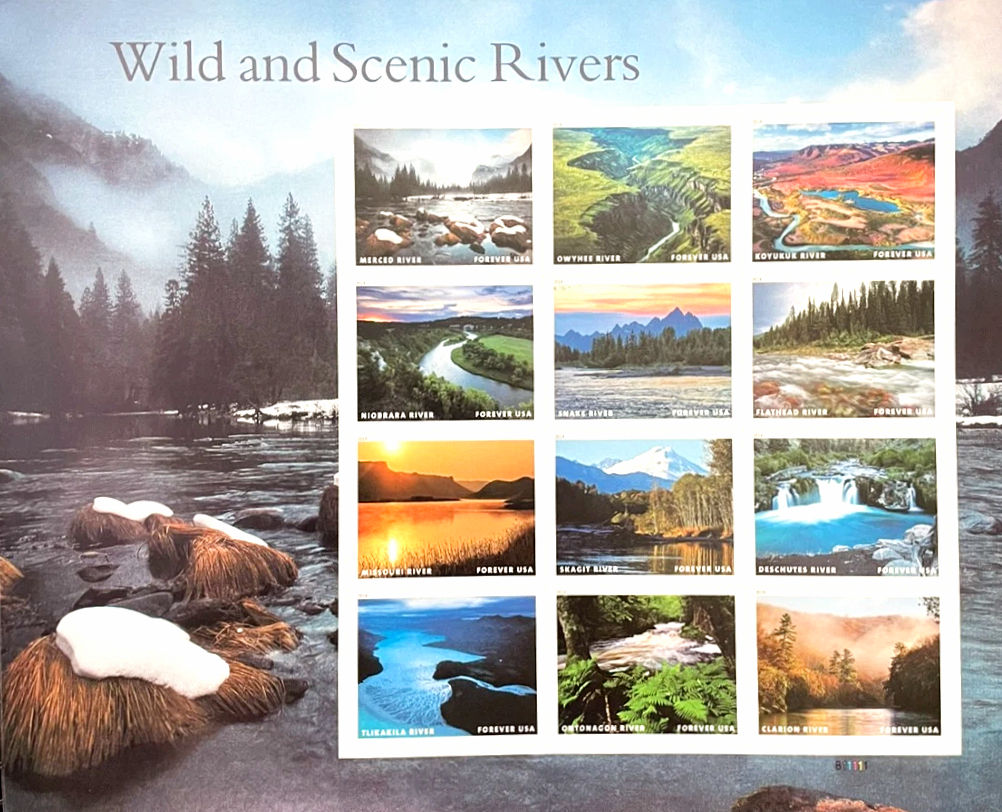 2019 Wild and Scenic Rivers Stamps Sheet of 12 - Forever - MNH