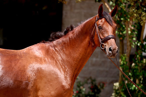 Photo Feb 11 2024, 10 36 42 PM.jpeg