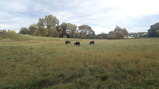 img-20201005-wa0004.jpg