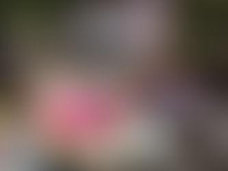 Demnächst auch bei TikTok