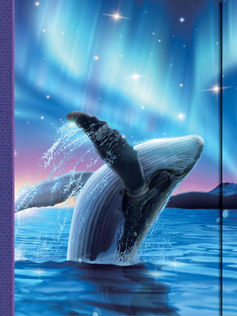 Journal - Boreal Whale