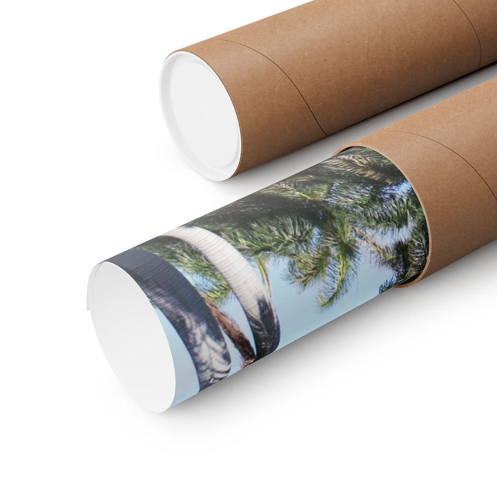 Thumbnail: Miami Beach Trees Poster Print for Home Decor Gift for Traveler Poster