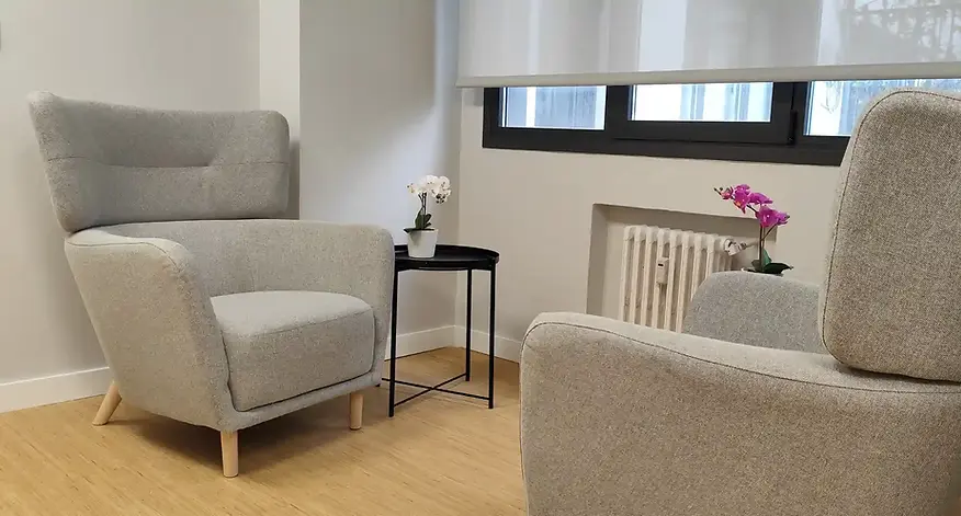 Imagen del despacho sillones