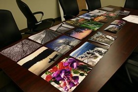 Set of around 15 images lying horizontally