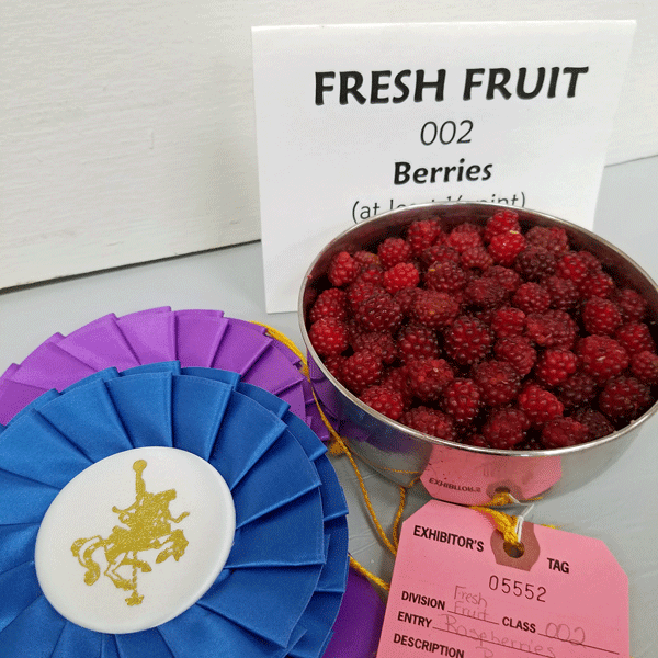 01_fresh-fruit