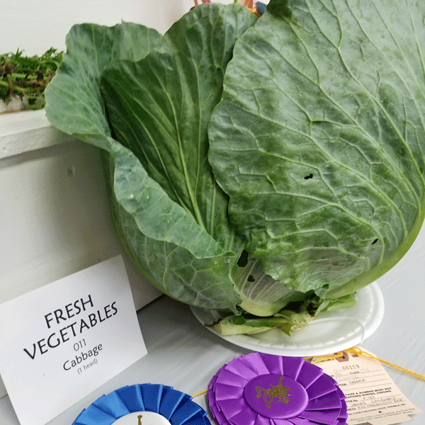 02_Fresh-Vegetables
