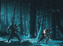 500x200 (8).gif