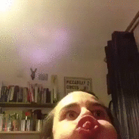 500x200 (61).gif