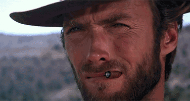 500x200 (47).gif