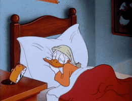 500x200 (21).gif