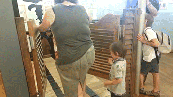 500x200 - 2019-05-07T163957.408.gif
