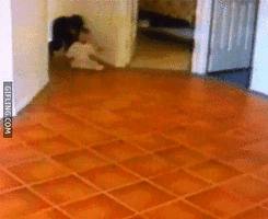500x200 - 2019-05-07T164253.632.gif