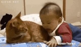 500x200 - 2019-05-07T163710.824.gif