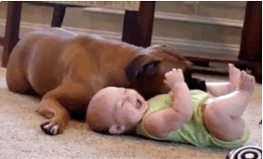 500x200 (12).gif
