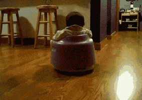 500x200 - 2019-05-07T164306.317.gif