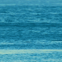 500x200 - 2019-05-14T223227.055.gif