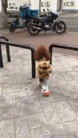 500x200 (11).gif