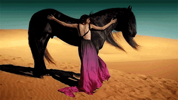 500x200 (57).gif