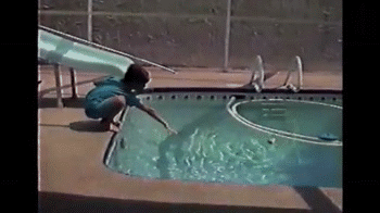 500x200 (26).gif